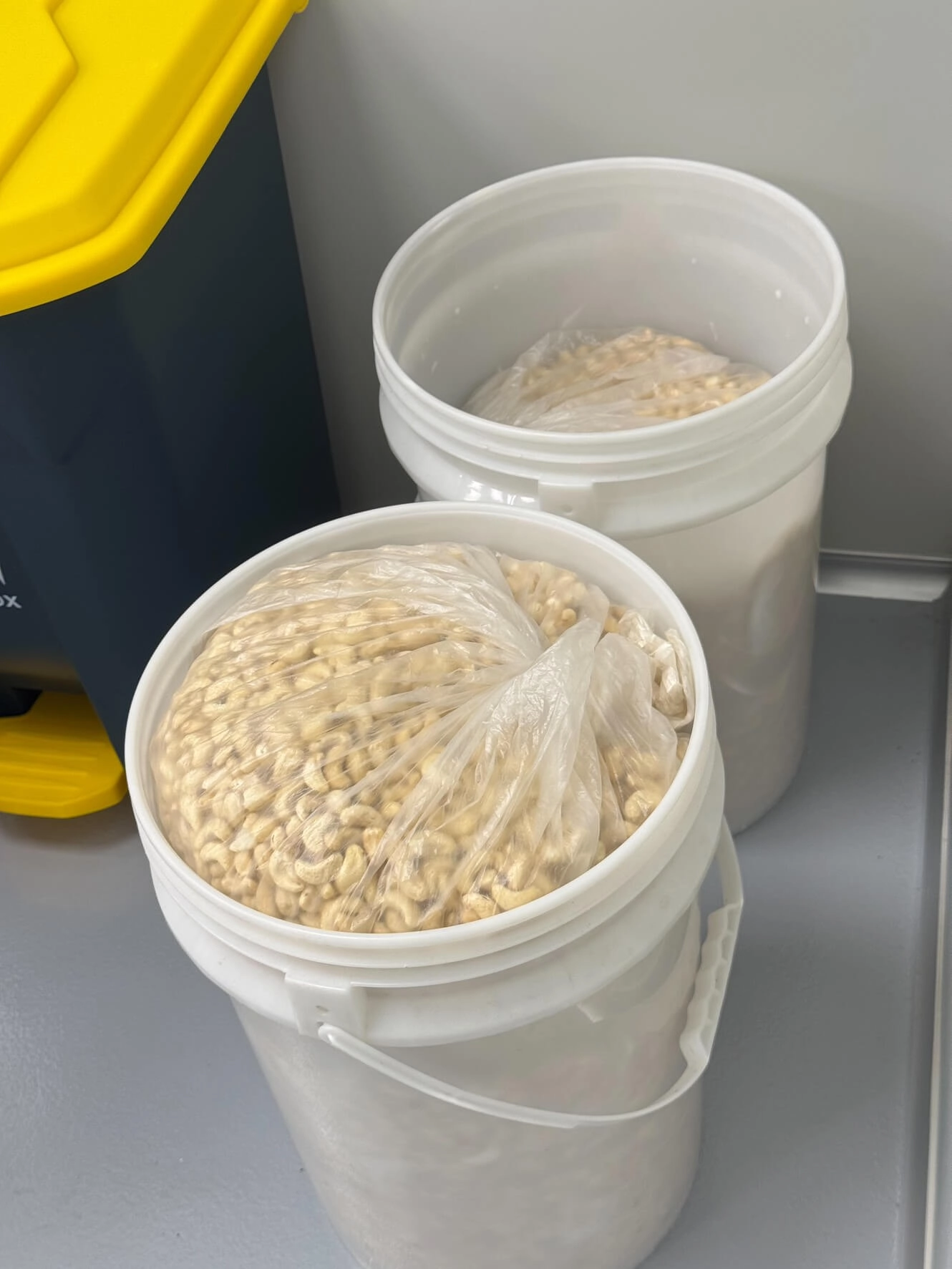 全部由人工挑選去除不佳的果實,剩下的粒粒飽滿且白皙透亮!