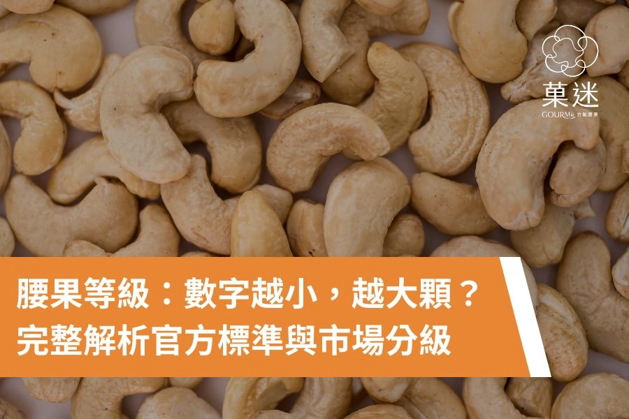 腰果等級怎麼分？數字越小越大顆？完整解析官方標準與市場分級