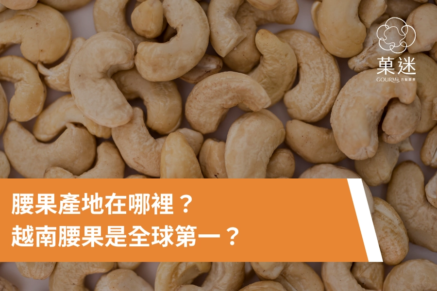腰果產地在哪裡？越南腰果是全球第一？產地、風味差異一次解答！